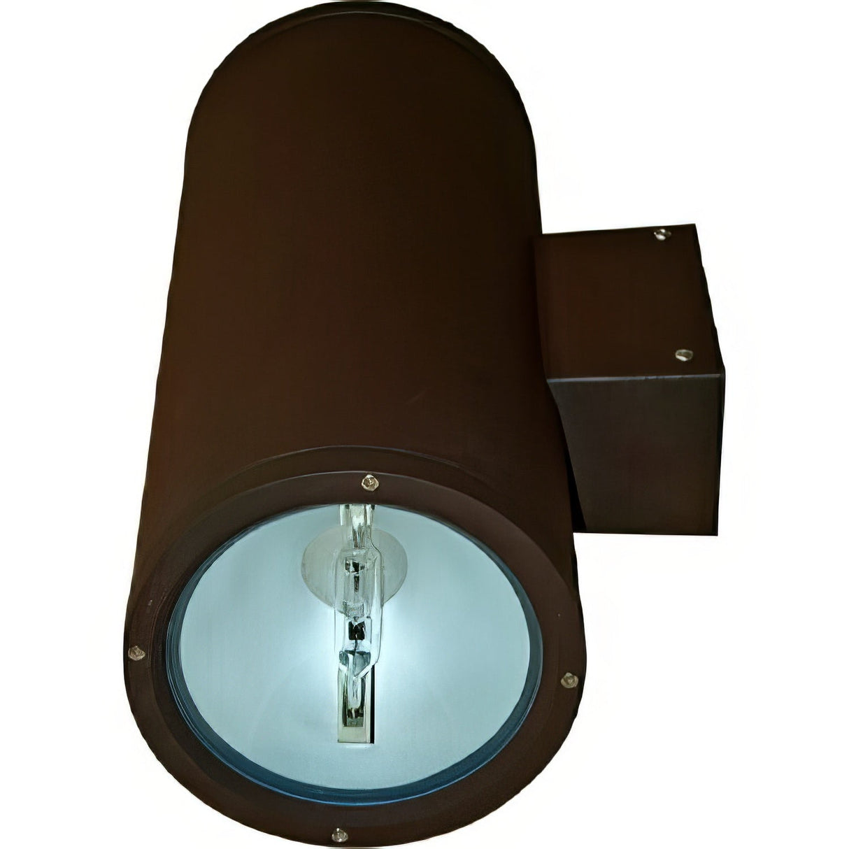 Dabmar Lighting DW3750-BZ bronze outdoor wall light fixture