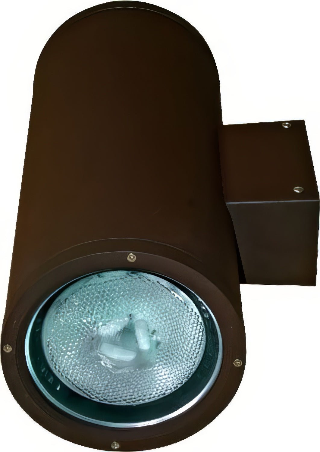 Dabmar Lighting DW3756-L25F-65K-BZ bronze outdoor wall light fixture