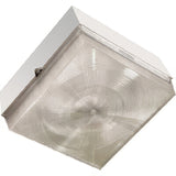Dabmar Lighting DW6601-W Polycarbonate Surface Mounted Ceiling Fixture White