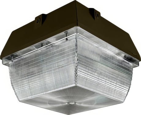 Dabmar Lighting DW8870-L20-30K-BZ bronze ceiling fixture