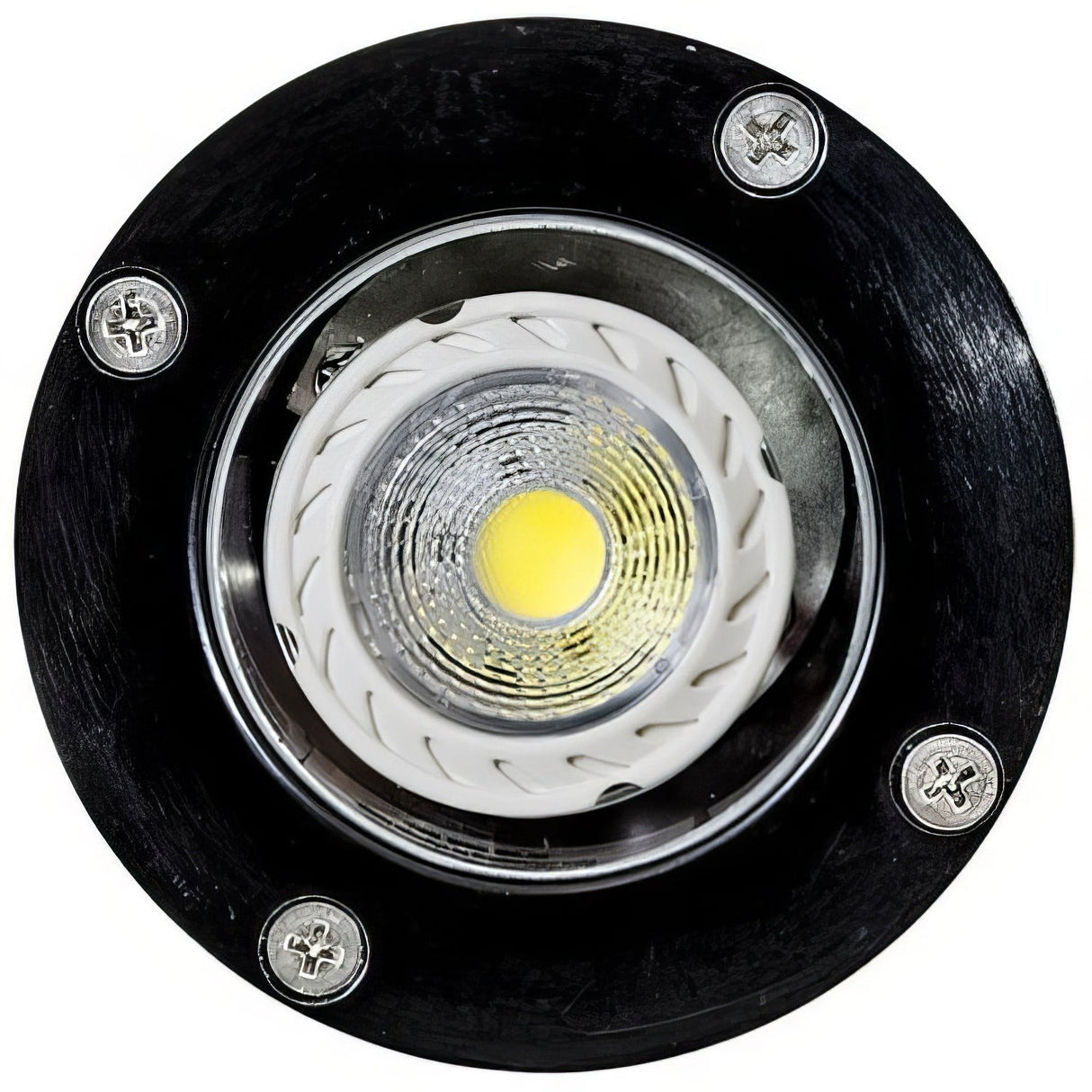 Dabmar Lighting FG318-B fake finish does not exist in ground well light