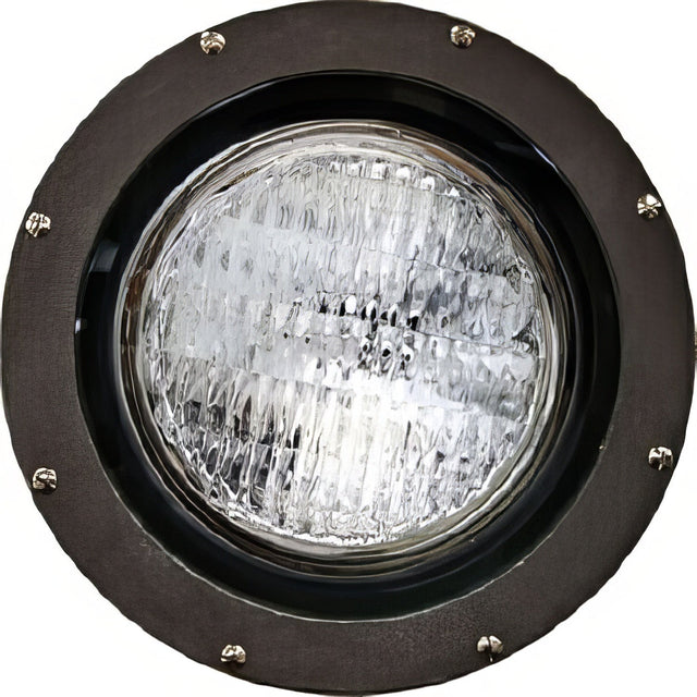 Dabmar Lighting FG4200-BZ bronze in ground well light