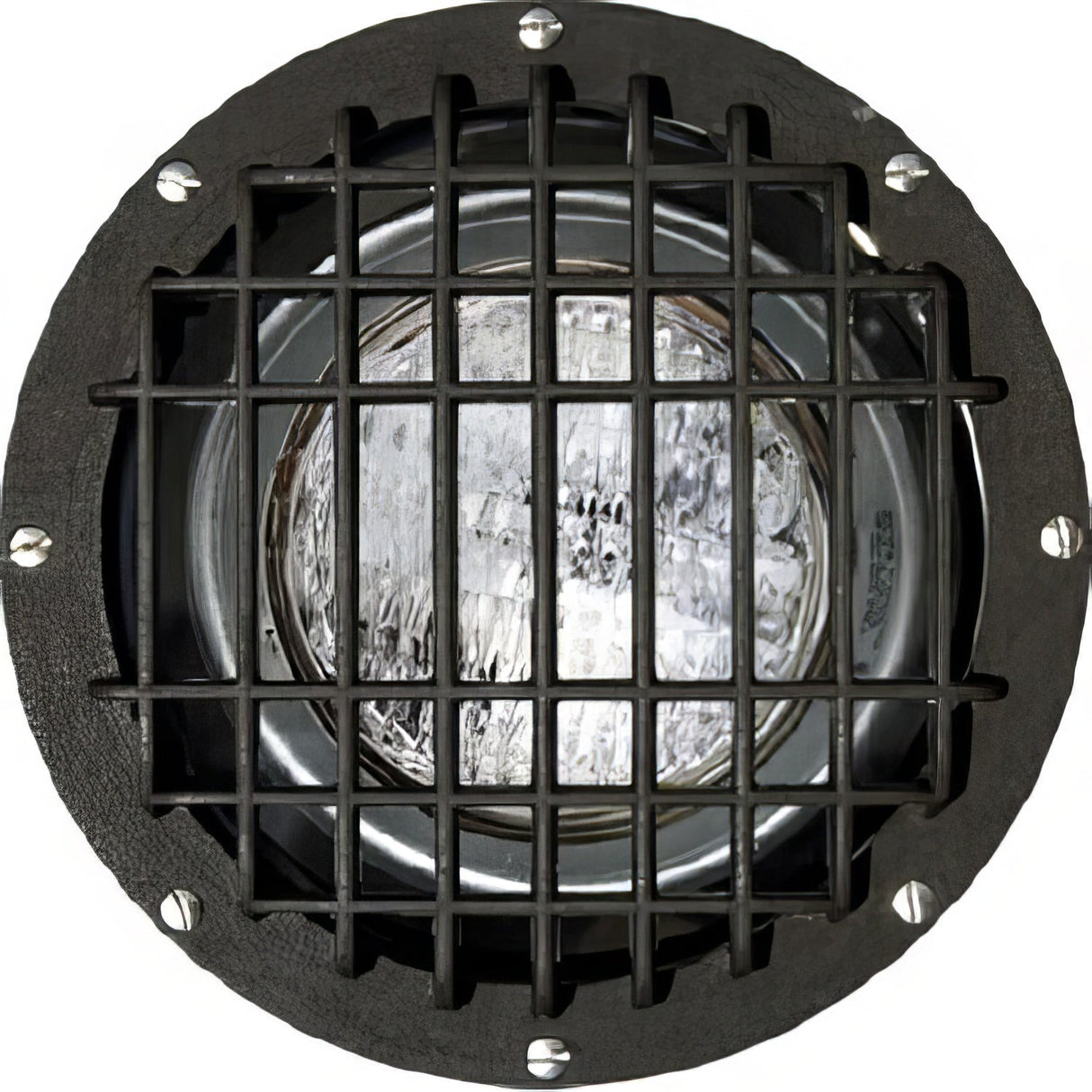 Dabmar Lighting FG4300-BZ-GRL bronze in ground well light