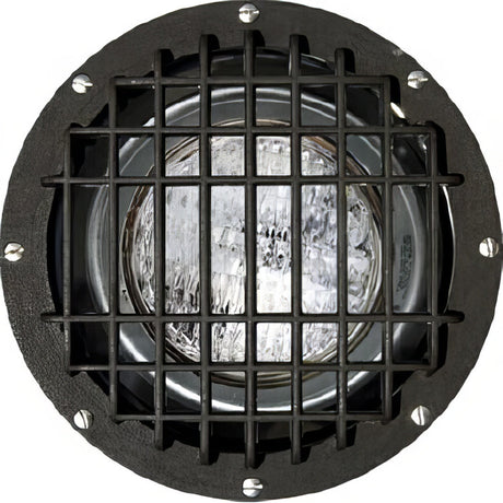Dabmar Lighting FG4300-BZ-GRL bronze in ground well light