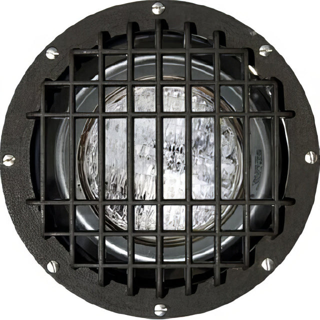 Dabmar Lighting FG4300-BZ-GRL bronze in ground well light