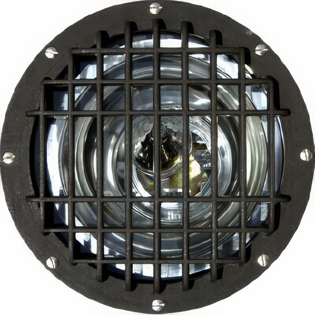 Dabmar Lighting FG4330-GRL-MT bronze in ground well light