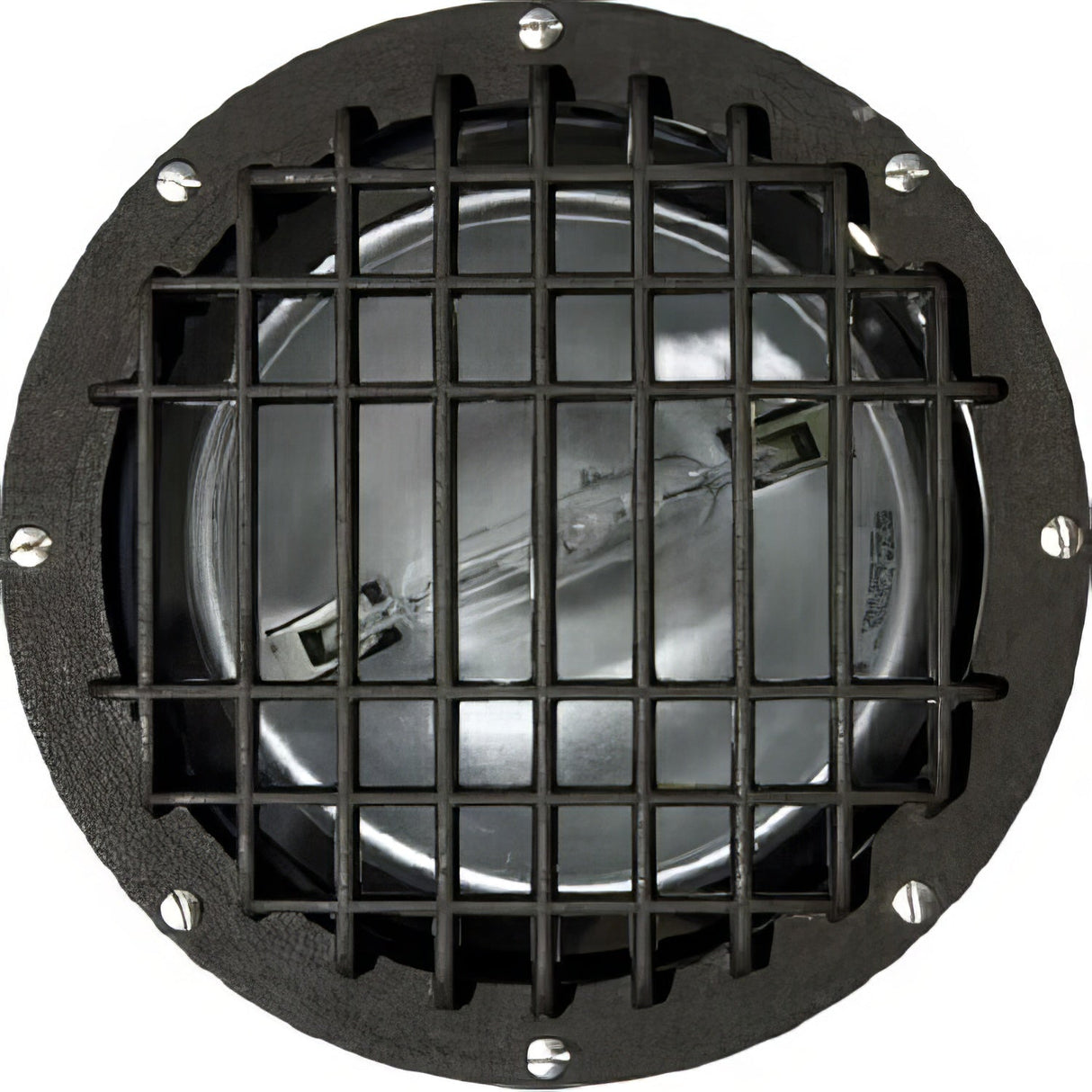 Dabmar Lighting FG4380-GRL-MT bronze in ground well light