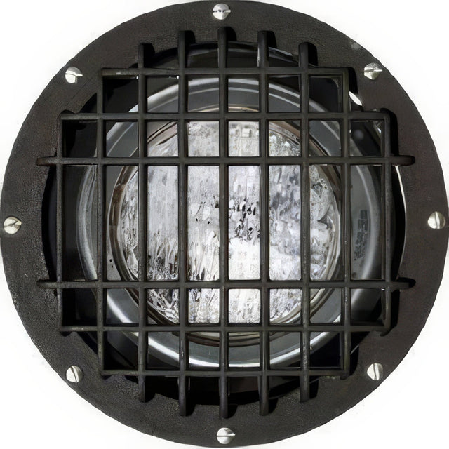 Dabmar Lighting FG4380-MED/GRL-MT bronze in ground well light