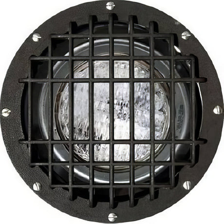 Dabmar Lighting FG4380-MED/GRL bronze in ground well light