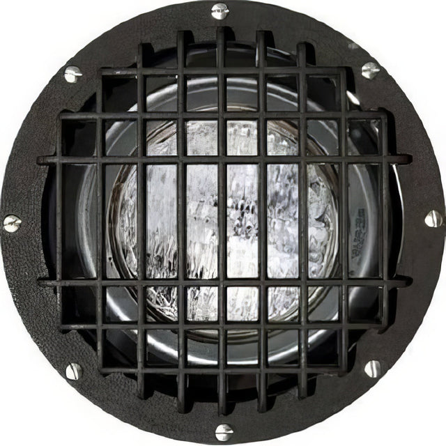 Dabmar Lighting FG4380-MED/GRL bronze in ground well light