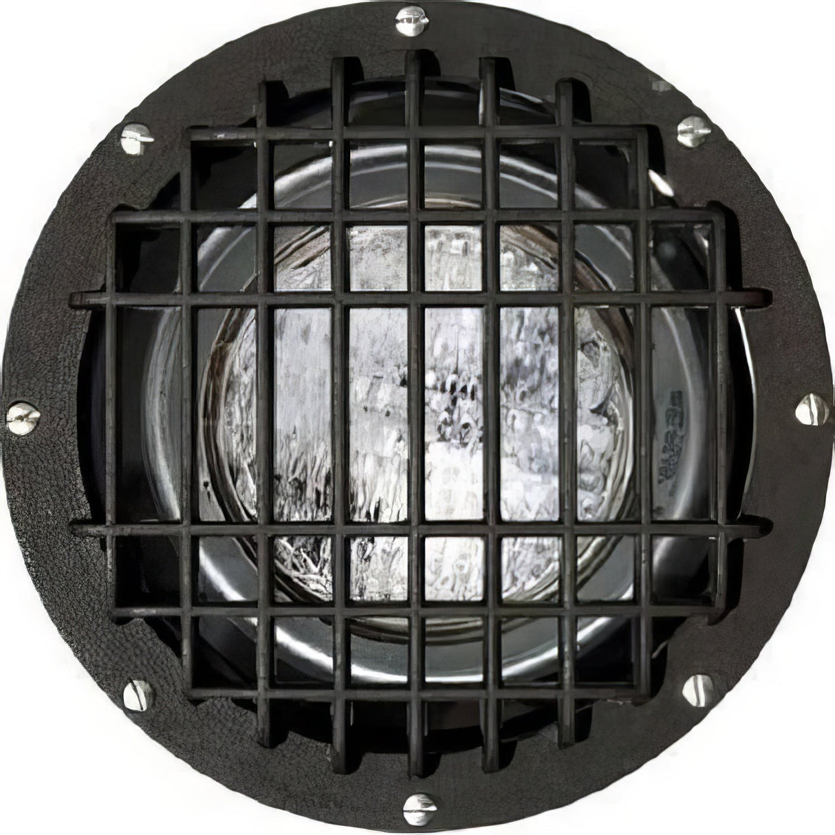Dabmar Lighting FG4385-MED/GRL bronze in ground well light