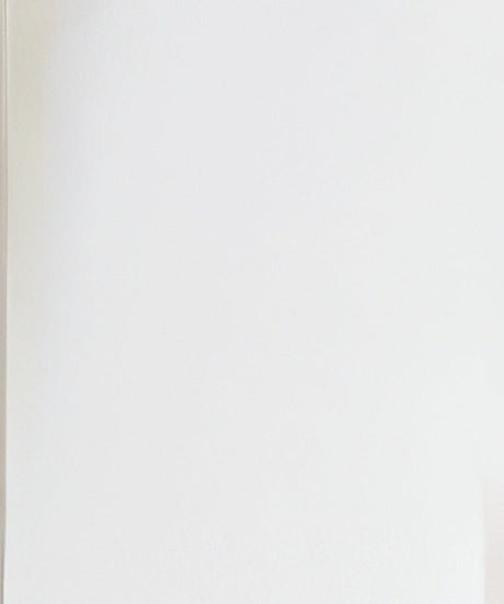 Dabmar Lighting GM1123-L18-60K-W white post light & pole