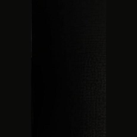 Dabmar Lighting GM1321S-L18-65K-B-FR black post light & pole