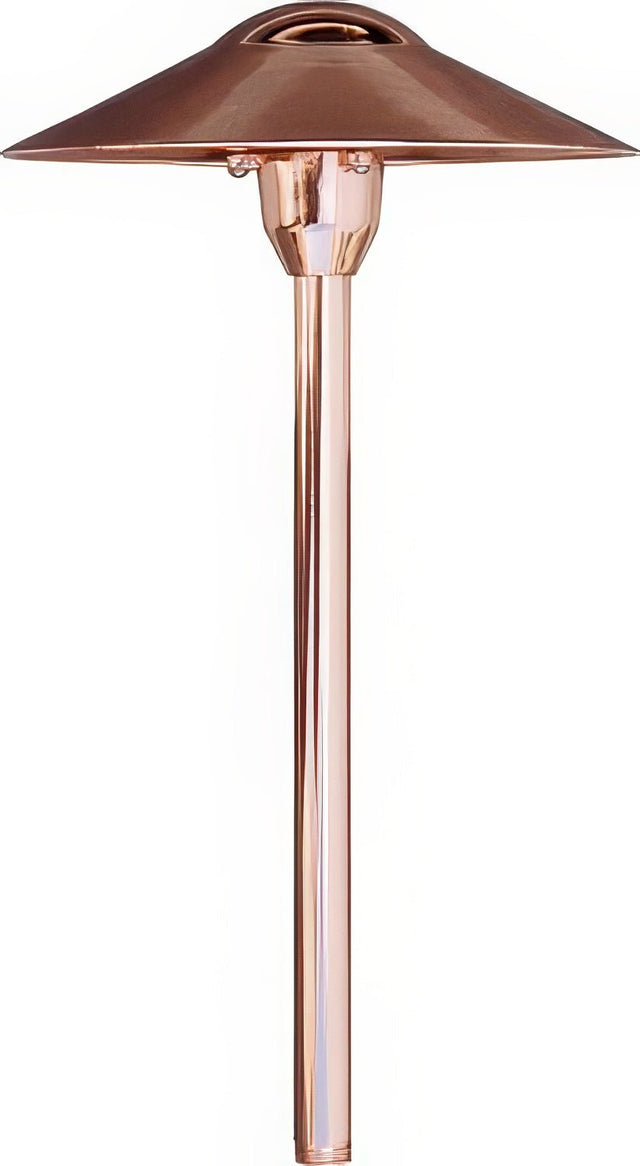 Dabmar Lighting LV214-L3-64K-CP copper path light