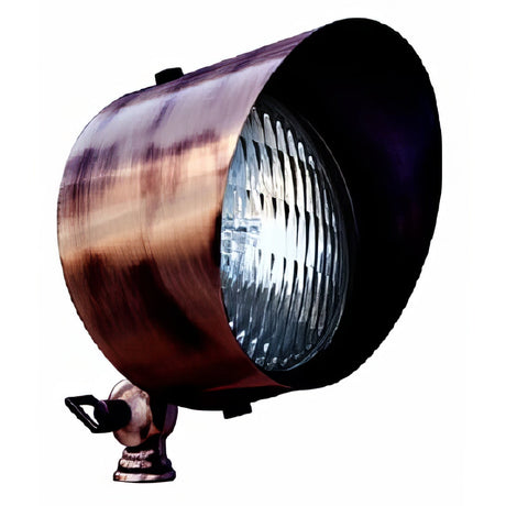 Dabmar Lighting LV30-ABZ antique bronze directional flood light