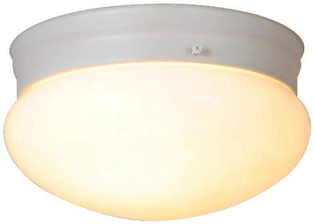 Monument 558734 Lighting 671330 Ceiling Fixture Brushed Nickel