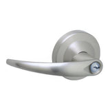 Schlage Commercial ND66CDOME619 satin nickel store door lever