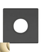 Baldwin R017003IPV lifetime polished brass rosette