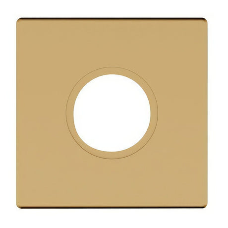 Baldwin R017033FD vintage brass rosette