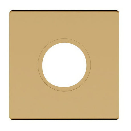 Baldwin R017033IDM vintage brass rosette
