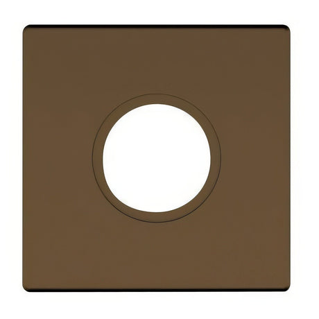 Baldwin R017050IDM satin brass and black rosette