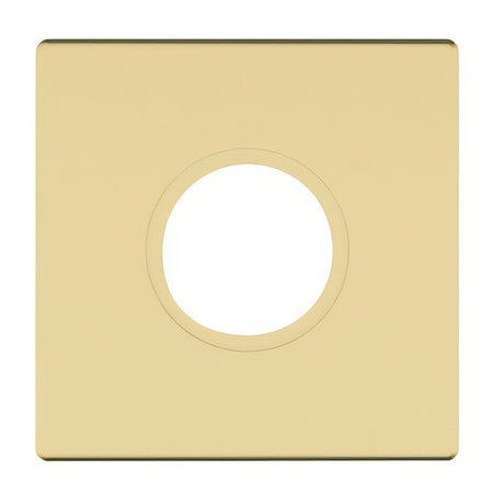Baldwin R017060PV satin brass and brown rosette