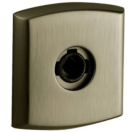 Baldwin R026050PV satin brass & black rosette