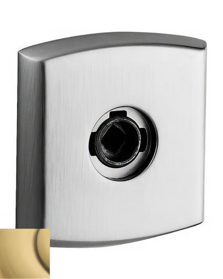 Baldwin R026060IDM satin brass and brown rosette