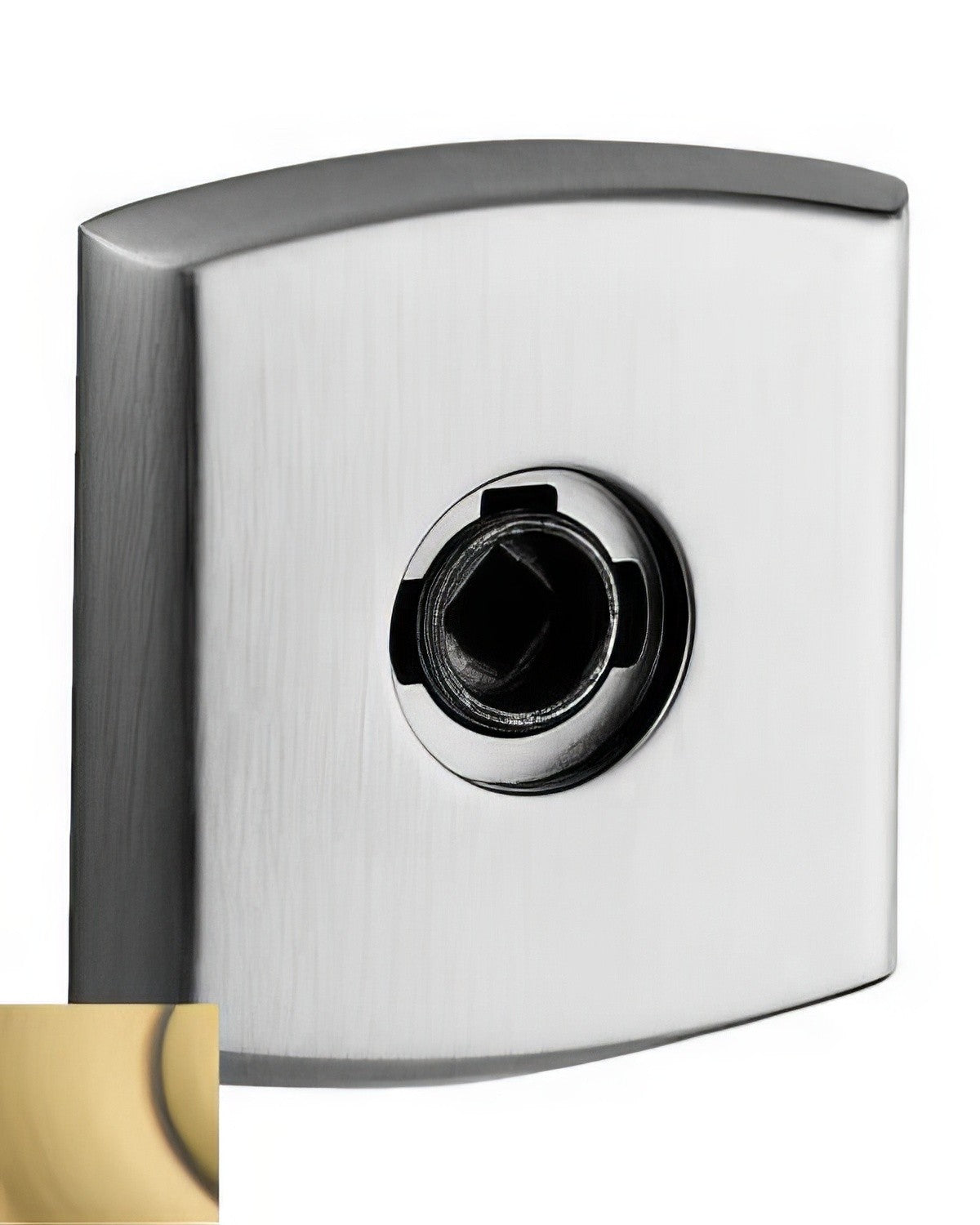Baldwin R026060IDM satin brass and brown rosette
