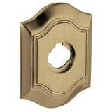 Baldwin R027050IDM satin brass and black rosette