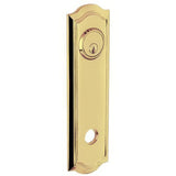 Baldwin R029031FD non lacquered brass rosette