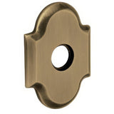 Baldwin R030050IPS satin brass and black rosette