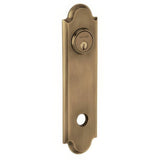 Baldwin R032050IPS satin brass and black rosette