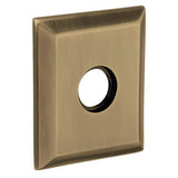 Baldwin R033050PV satin brass and black rosette