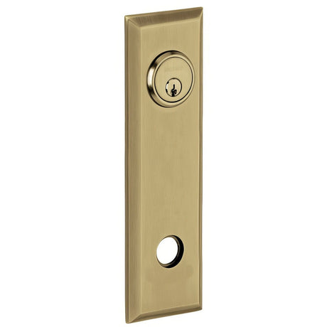 Baldwin R035033IPS vintage brass rosette
