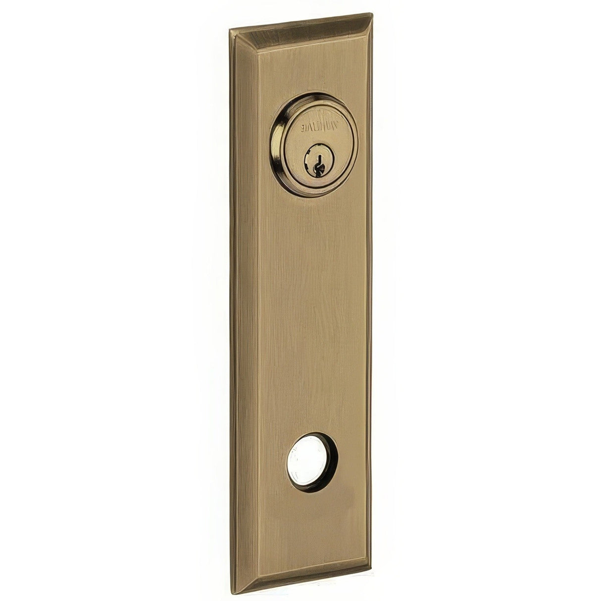 Baldwin R035050LPV satin brass and black rosette