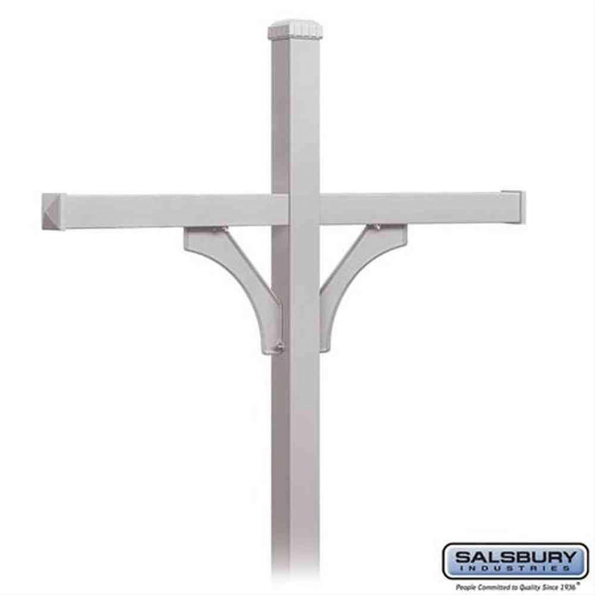Salsbury Industries 4374SLV 4374 Deluxe Post 2 Sided In Ground Mounted for 4 Roadside Mailboxes Silver