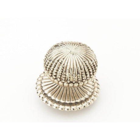 Schaub and Company 969M-WB-PAR Traditional and Contemporary Series 1-1/4 Inch Diameter Radial Mushroom Cabinet Knob White Brass