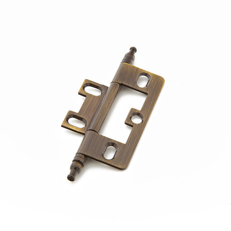 Schaub and Company 1100M-AB hinge in satin stainless, additional view
