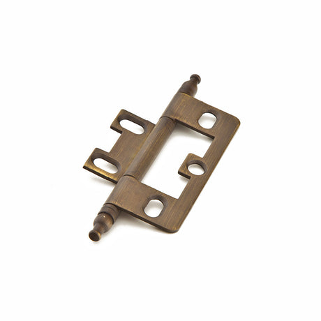 Schaub and Company 1100M-ALB hinge in satin stainless, additional view