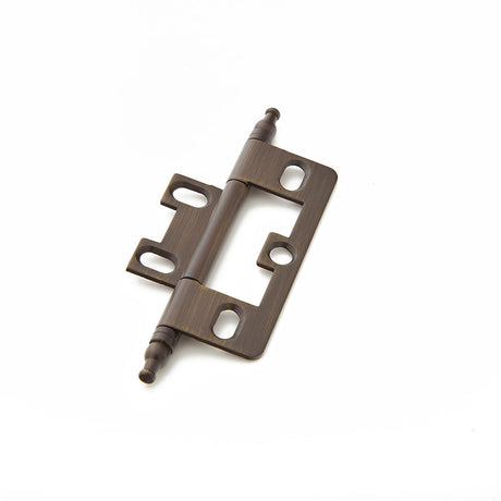 Schaub and Company 1100M-ASBZ hinge in satin stainless, additional view