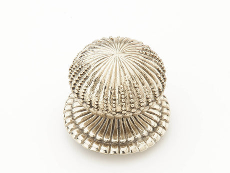 Schaub and Company 969L-PAR Traditional and Contemporary Series 1-1/2 Inch Diameter Radial Mushroom Cabinet Knob