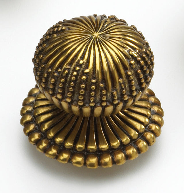 Schaub and Company 969M-PAR paris brass mushroom cabinet knob
