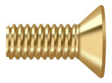Deltana SCMB1005CR003 lifetime polished brass screw pack