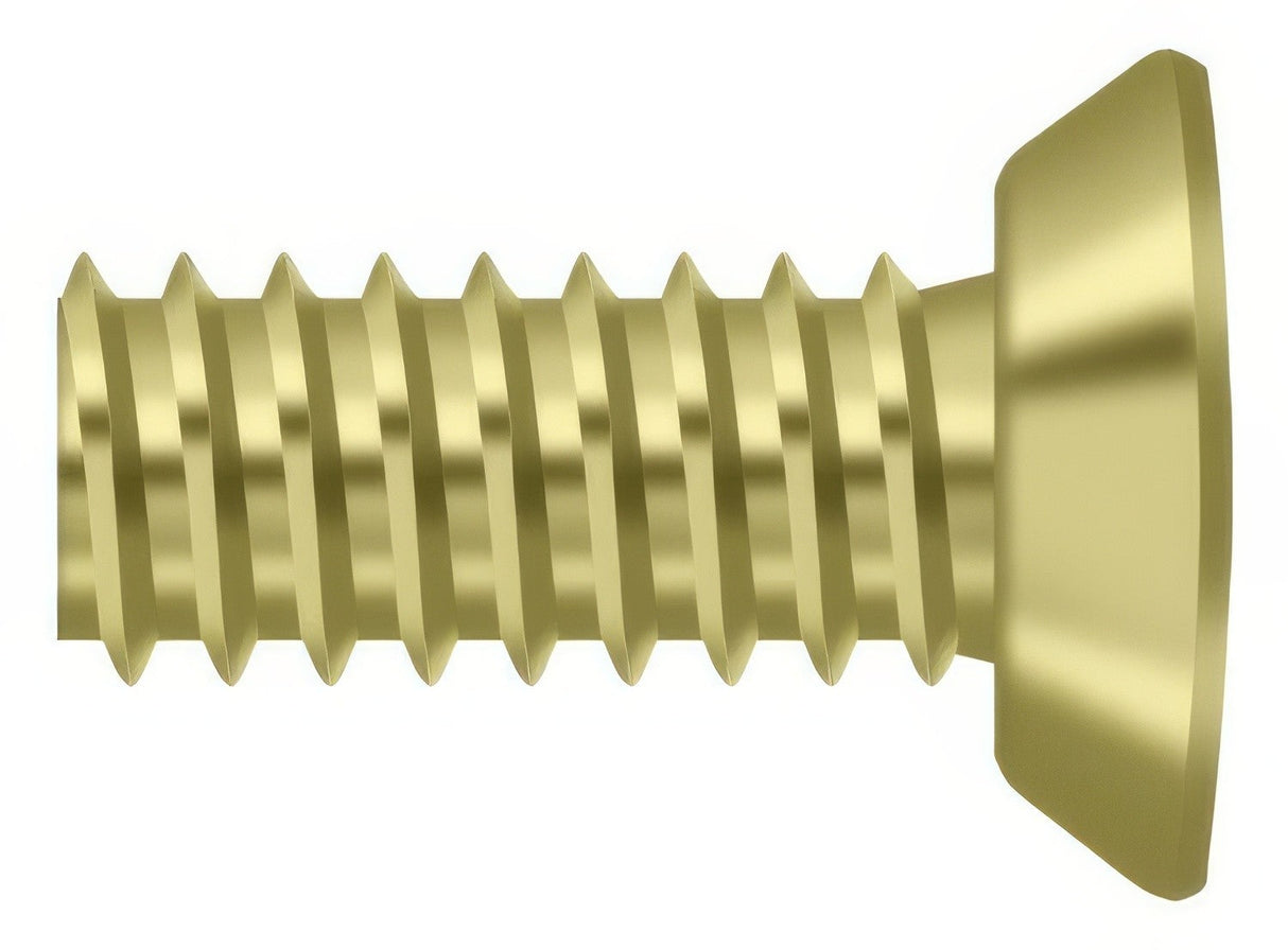 Deltana SCMS1005U3 polished brass screw pack