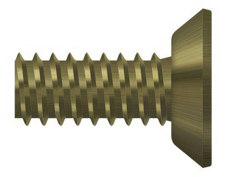 Deltana SCMS1205U5 antique brass screw pack