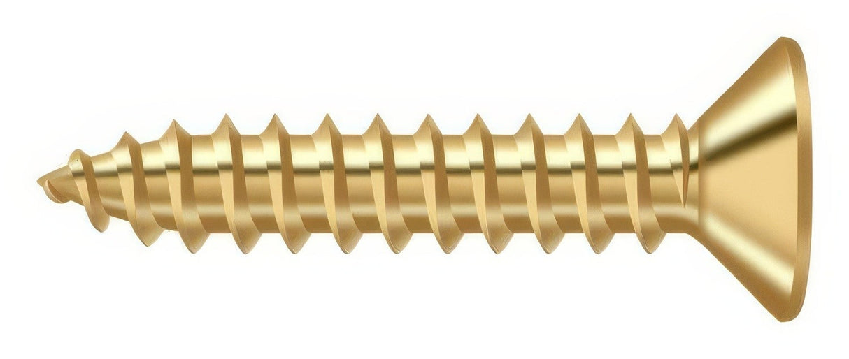 Deltana SCWB1010CR003 lifetime polished brass screw pack