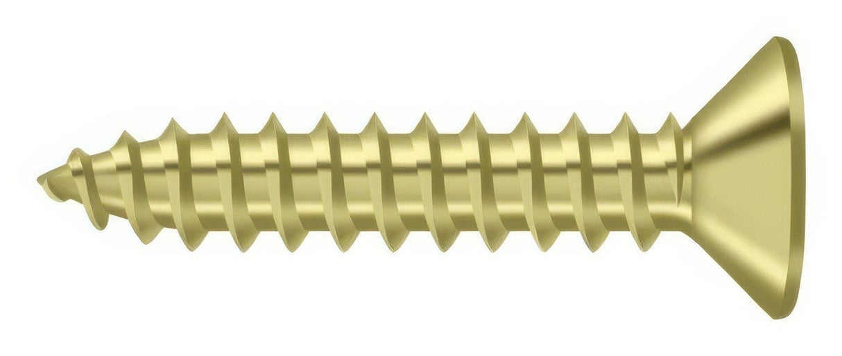 Deltana SCWB1010U3 polished brass screw pack