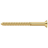 Deltana SCWB1025CR003 lifetime polished brass screw pack
