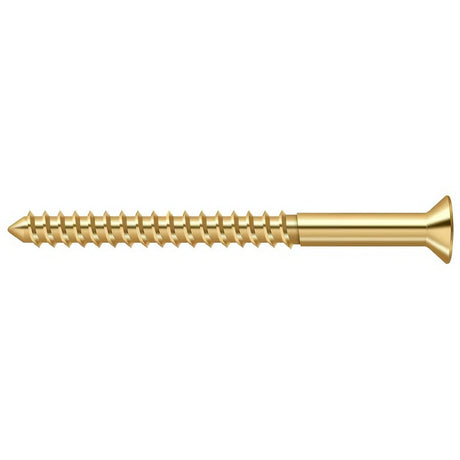 Deltana SCWB1025CR003 lifetime polished brass screw pack